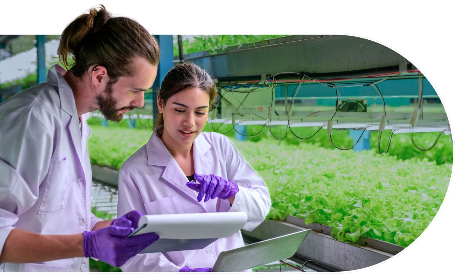 Ricerca scientifica