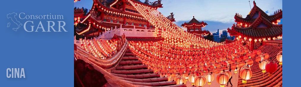 Bando di Gara per la connettività verso la Cina