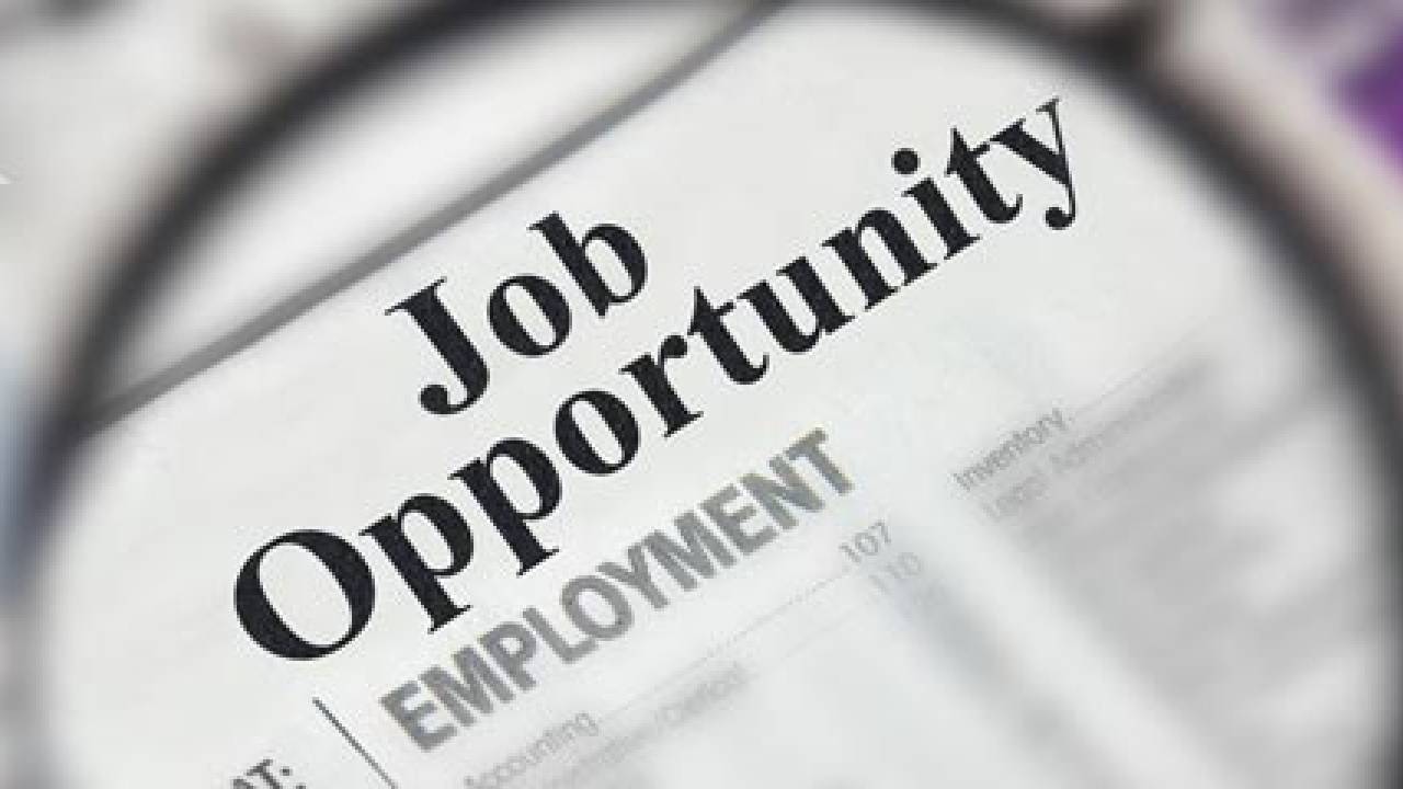 Job opportunity